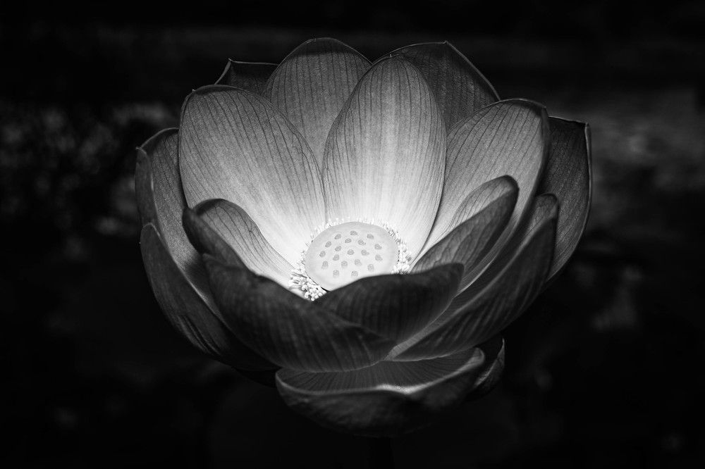 Photograph by Игорь Иванов