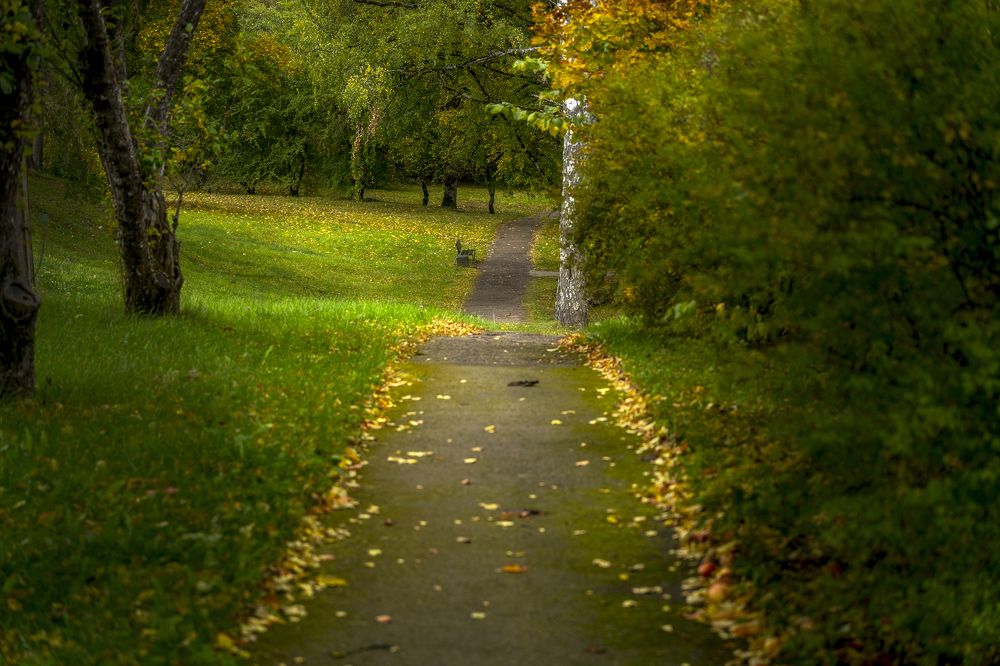 Photograph by Raimonds Dambis