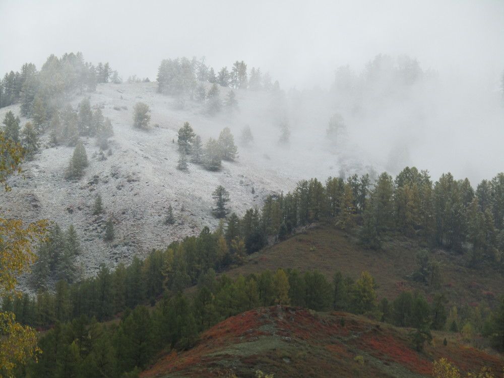 Photo #9579775