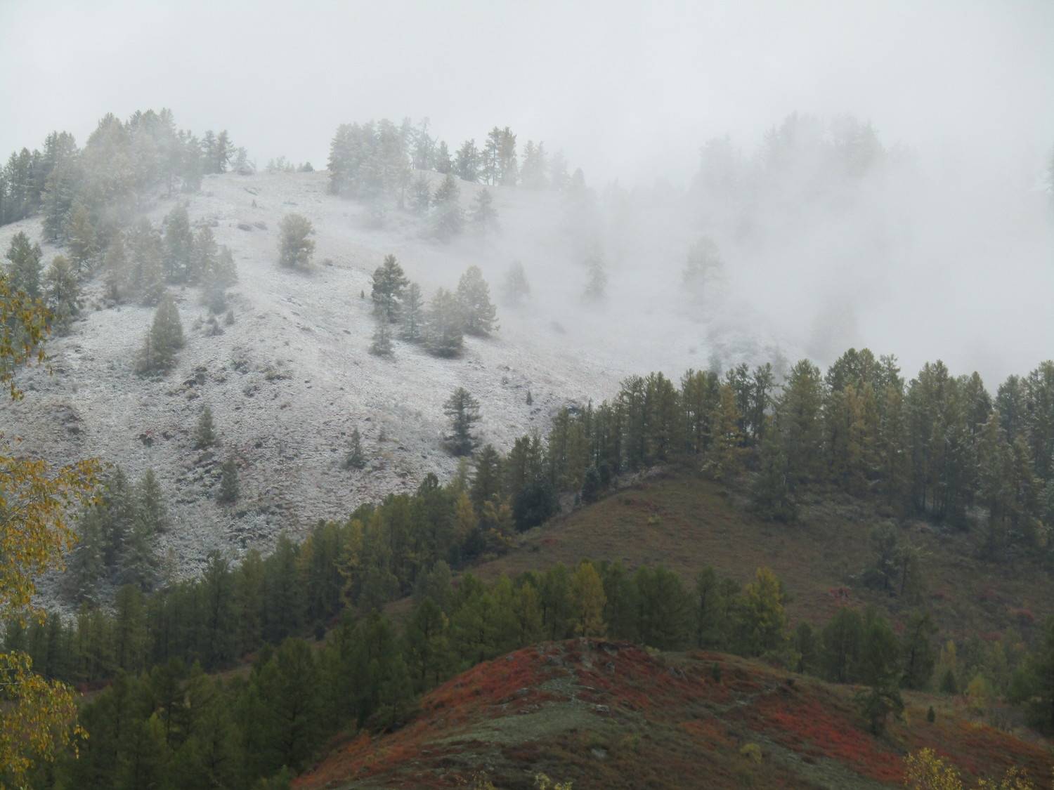 Photo #9579775