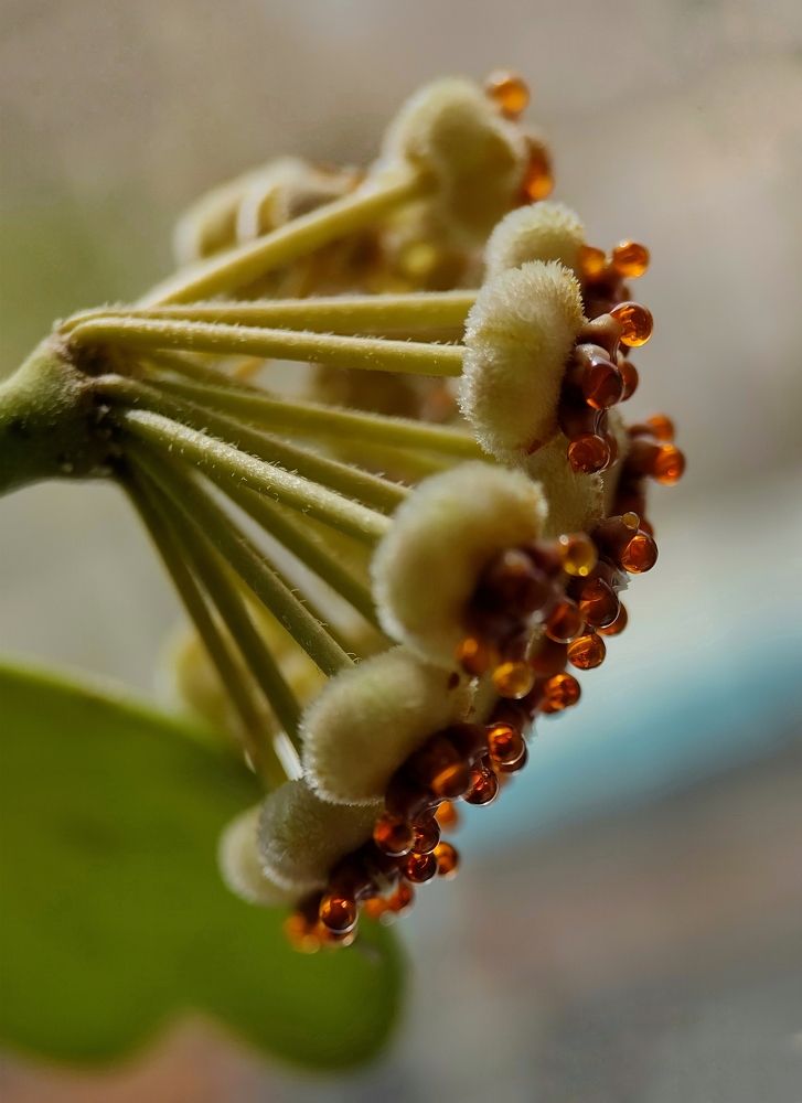 Photograph by Oksana