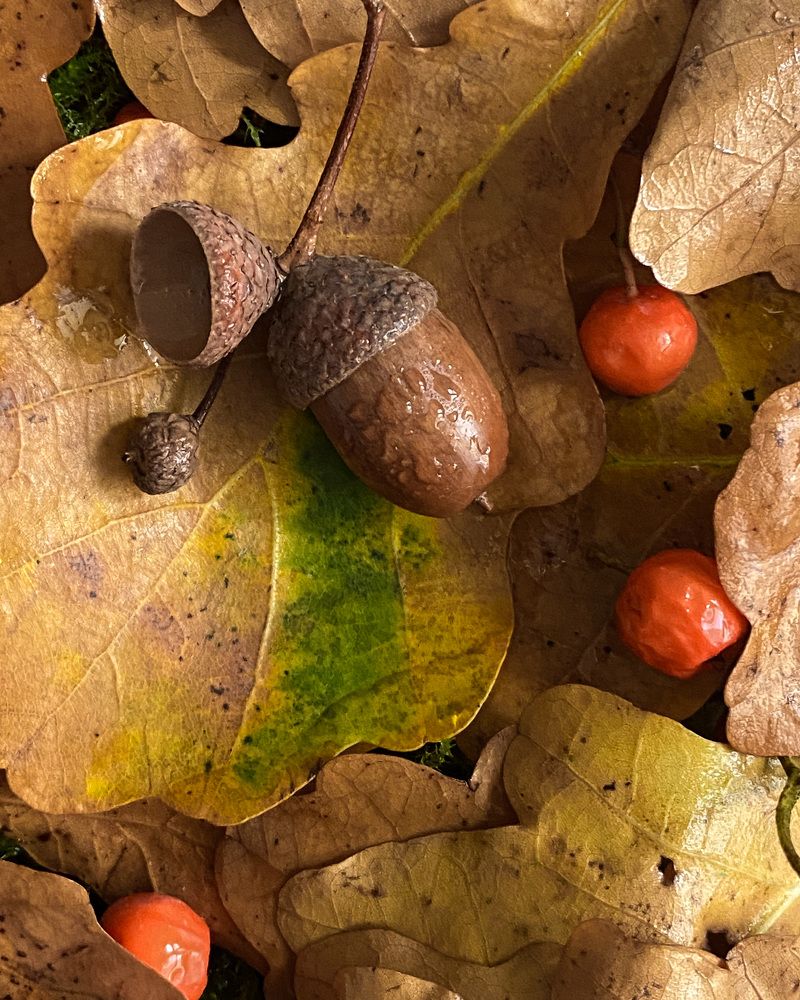 Фотография автора Лариса Гришкевич