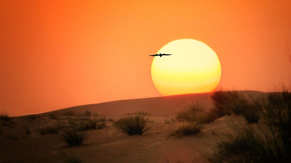 Photograph by Arindam Banerjee