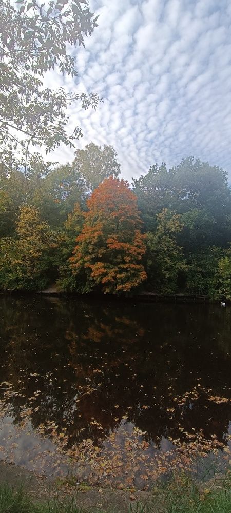 Фотография автора Ольга