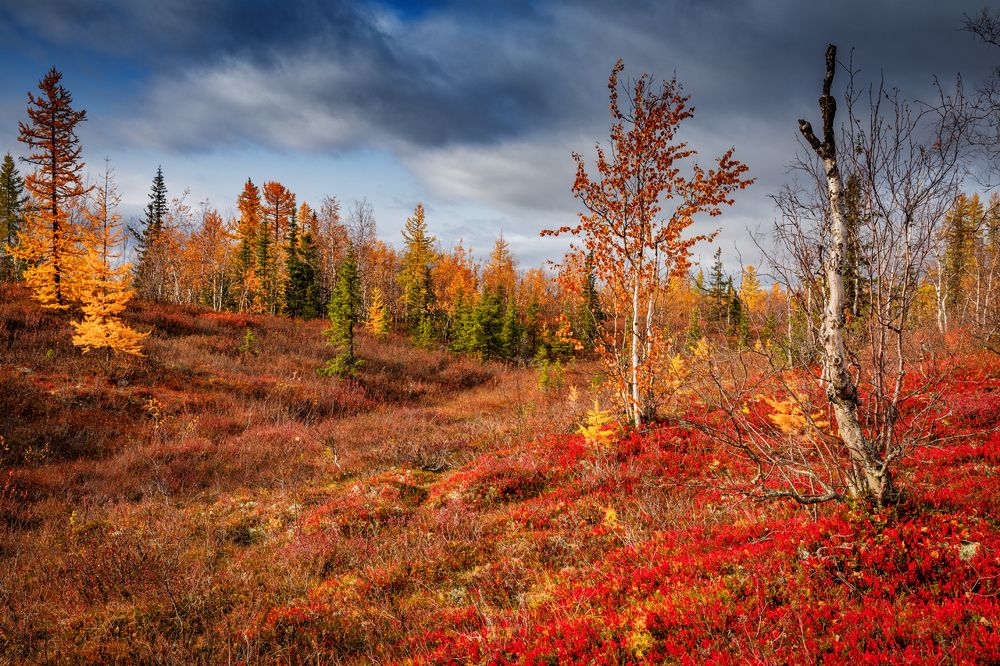 Photograph by Евгений Кужилев