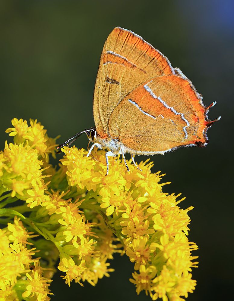 Photograph by Борис Новиков