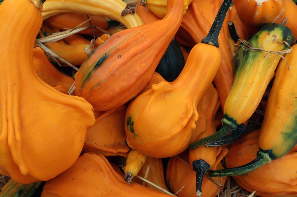 Photograph by Ольга Стоун