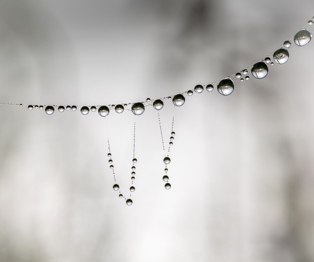 Photograph by Марина Новожилова