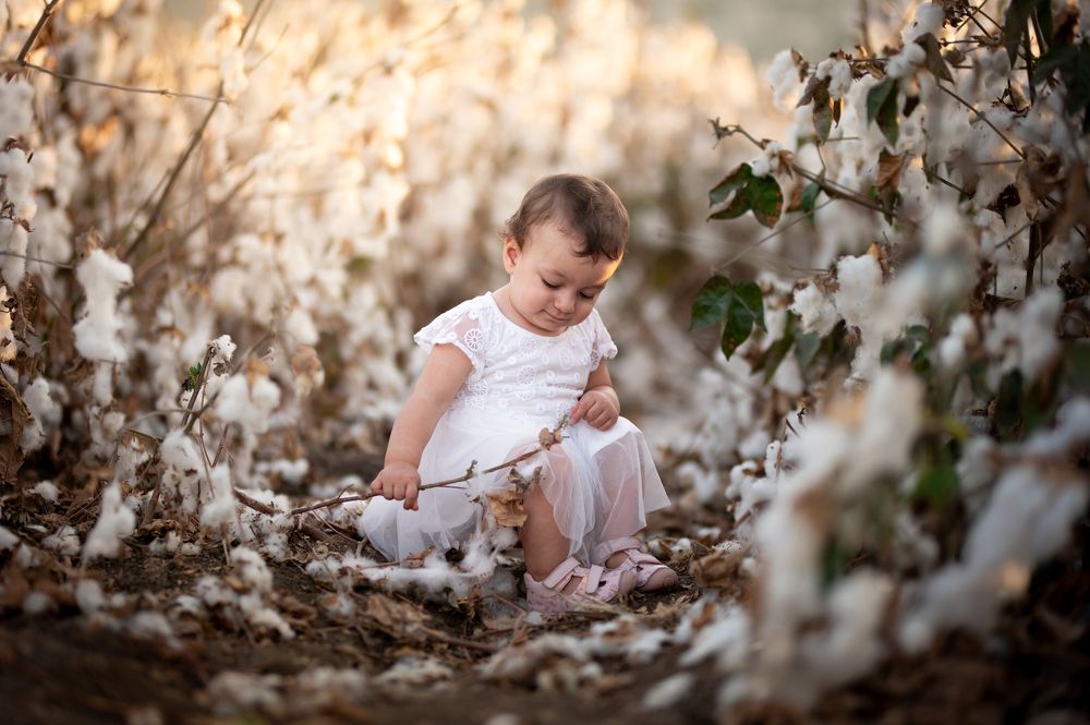 Photograph by Yahav Shafir