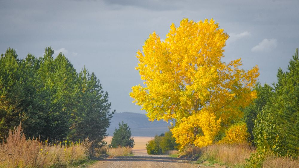 Photograph by Kostantin Belonogov