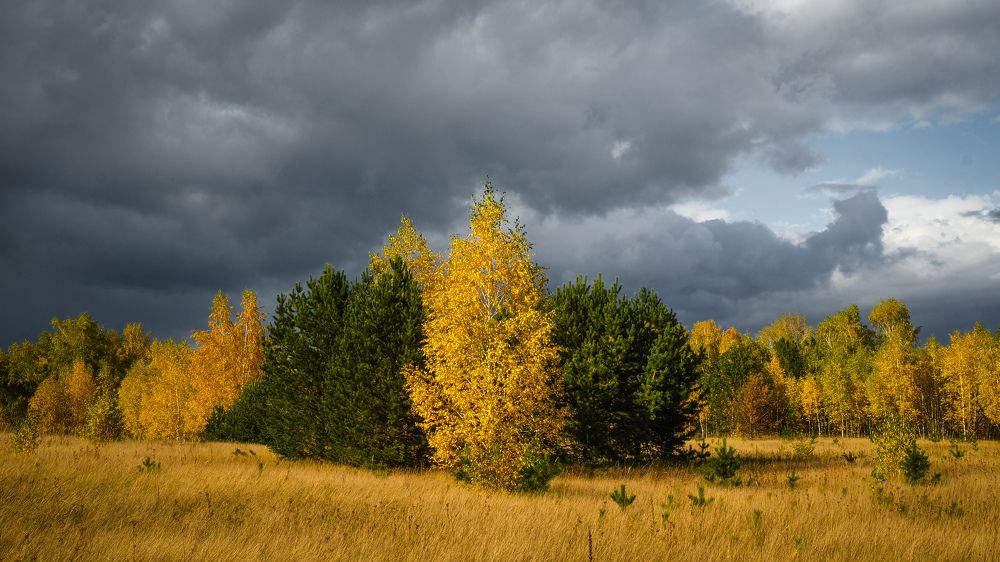 Photograph by Kostantin Belonogov