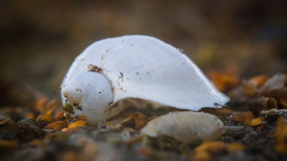 Photograph by Kostantin Belonogov