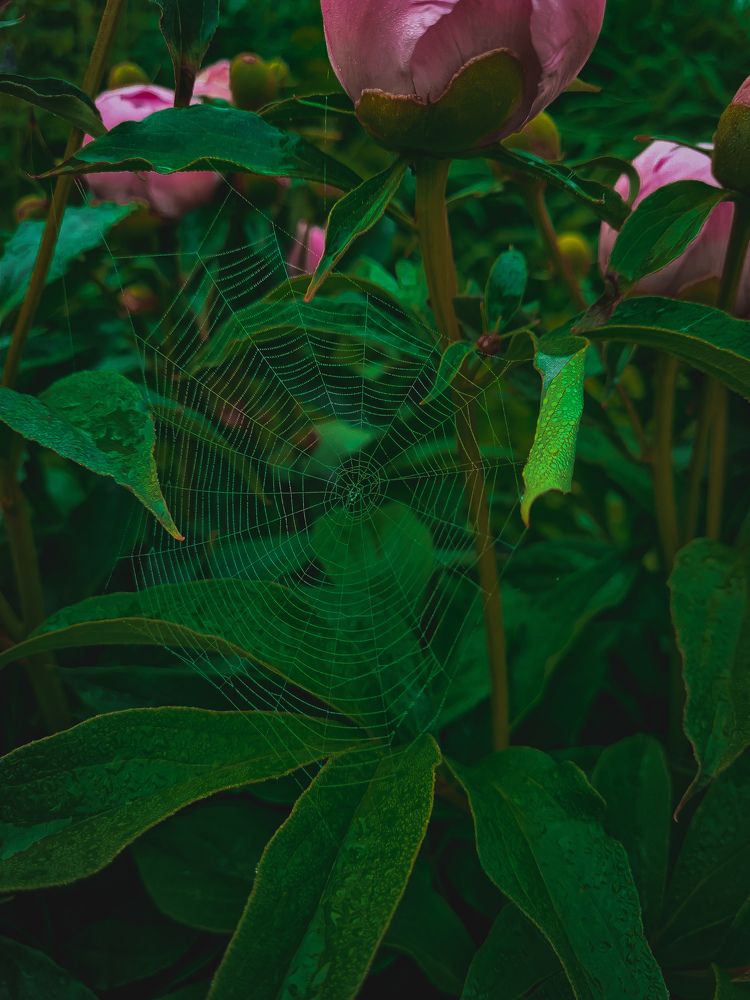 Photograph by Ирина Герлин