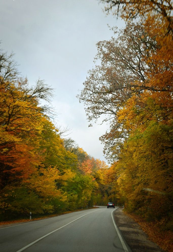 Photograph by Екатерина Гордеева