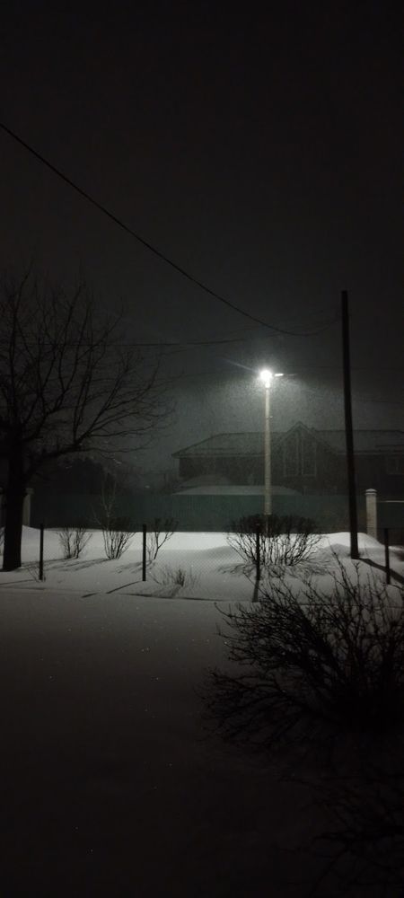 Photograph by Ani Jabua