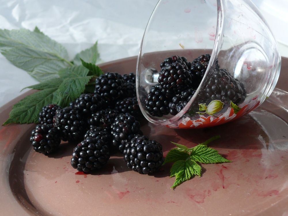 Photograph by Елена Попова