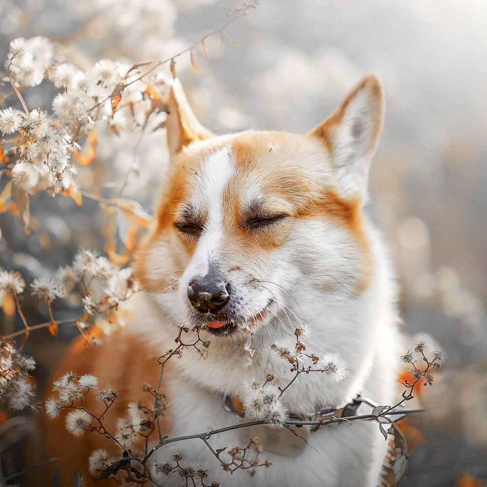 Photograph by  姚文琦