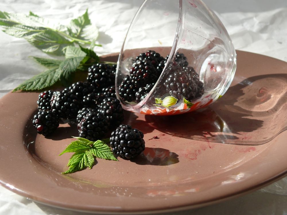 Photograph by Елена Попова