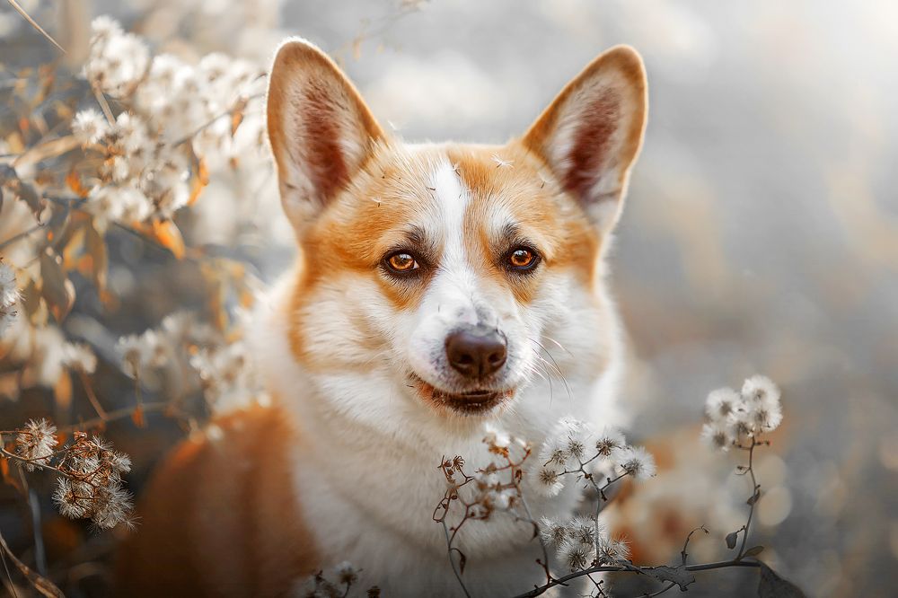 Photograph by  姚文琦