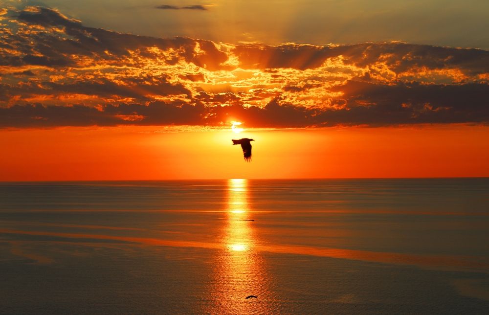 Photograph by Esin Sağır