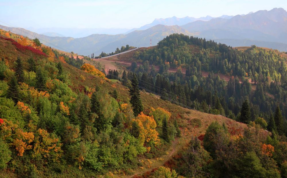 Photograph by Ольга Стоун