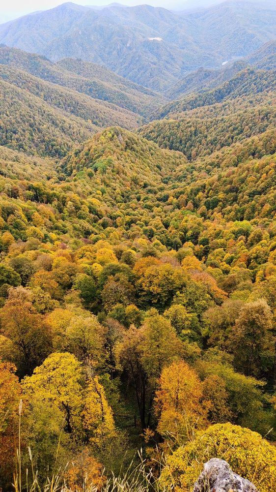Photograph by Анастасия