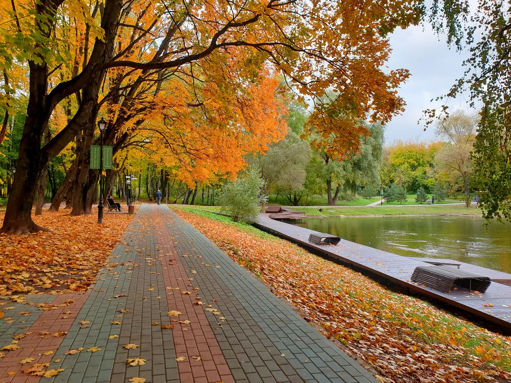 Краски осени