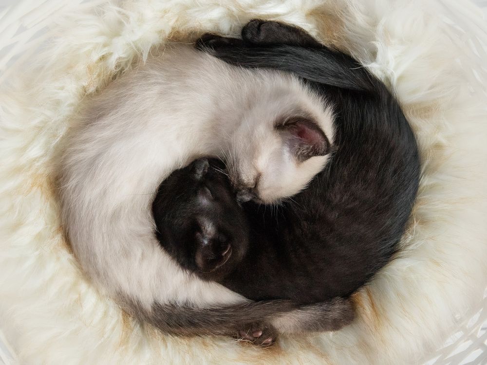 Photograph by Irina Kartoshova