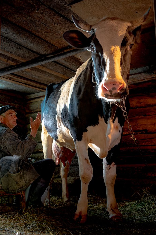 Photograph by PYATNITSKIY ANDREY