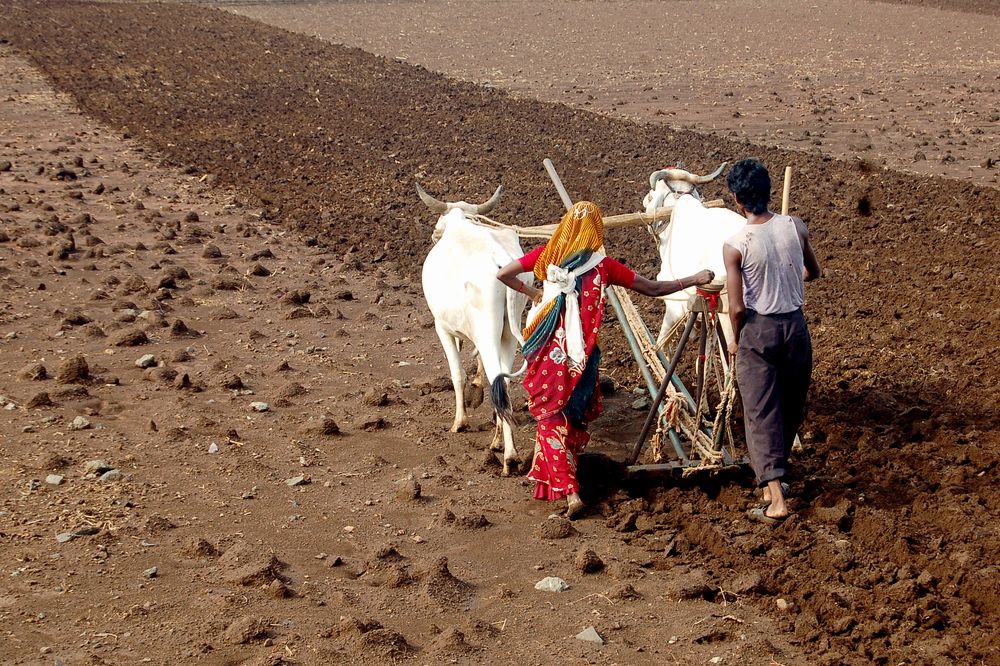 Photograph by DILIP BHALERAO