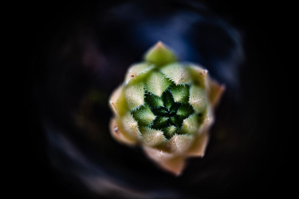 Photograph by Андрей Шишлов