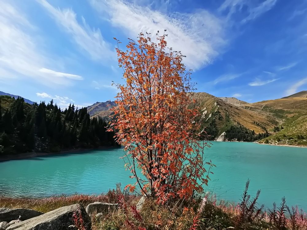 Photograph by Наталья Баранова