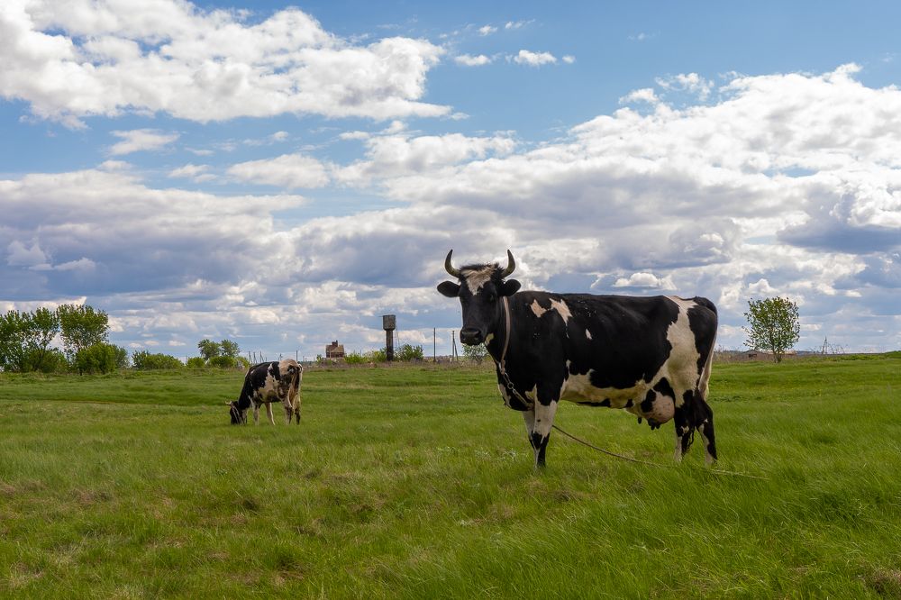 Photograph by Андрей Шишлов