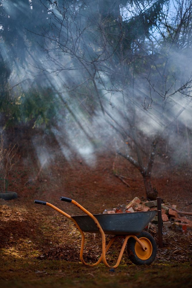 Photograph by Наталья Смирнова