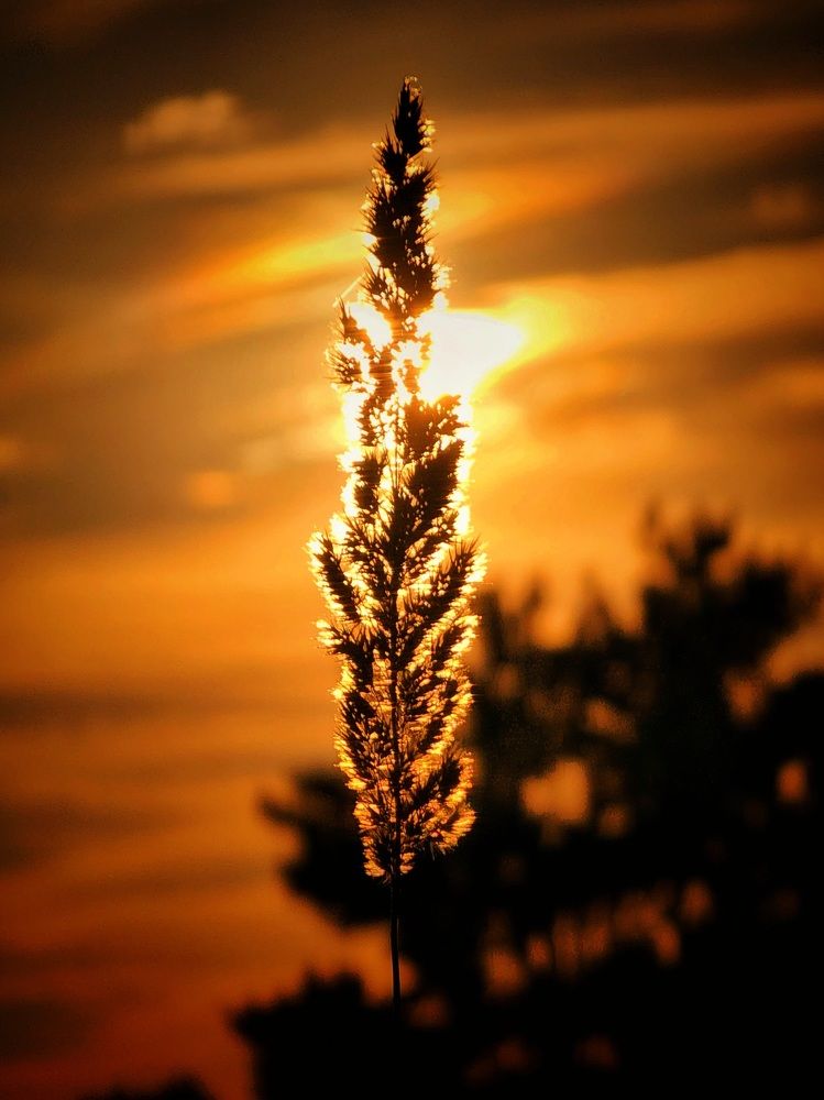 Photograph by Konstantin Martynov