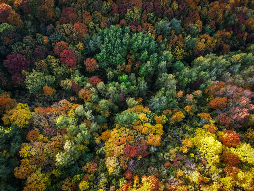 Photograph by Konstantin Martynov