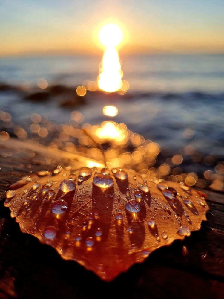 Photograph by Виктория Лобанова