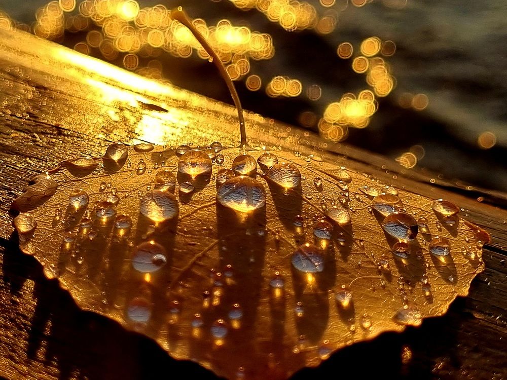 Photograph by Виктория Лобанова