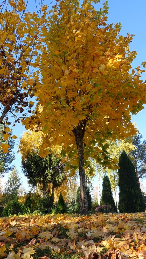 Фотография автора Эдуард