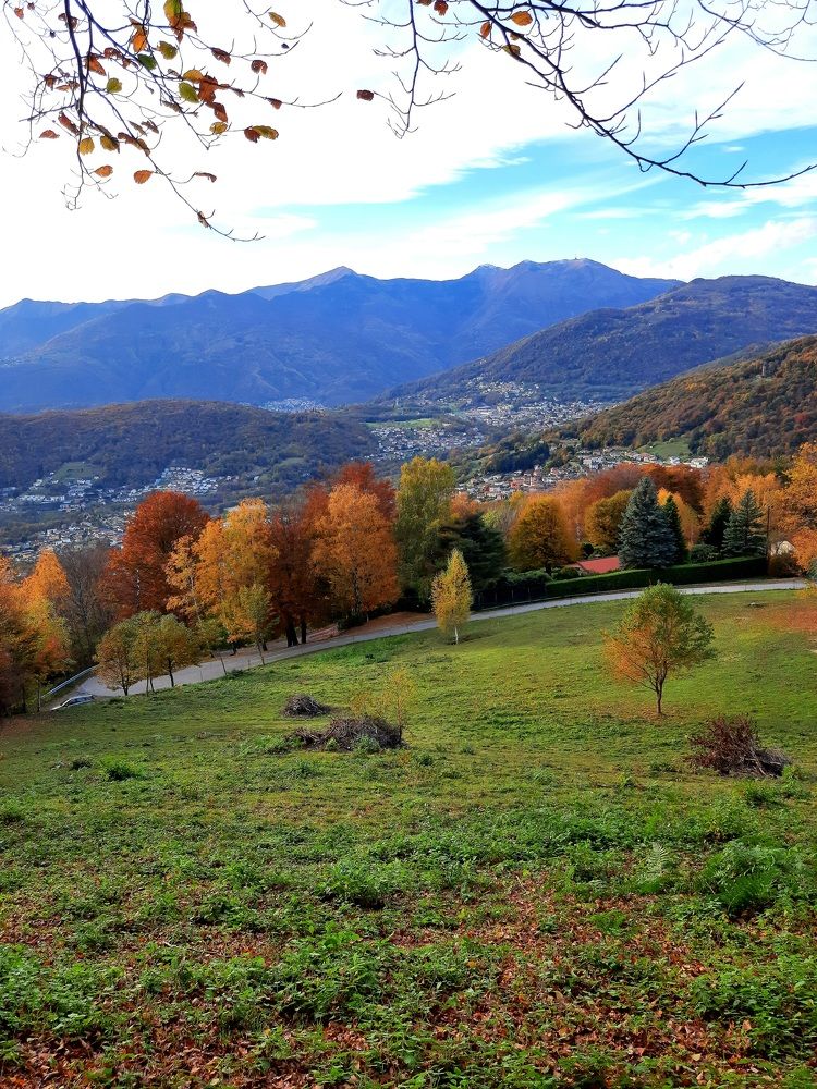 Photograph by Sonia Crotta