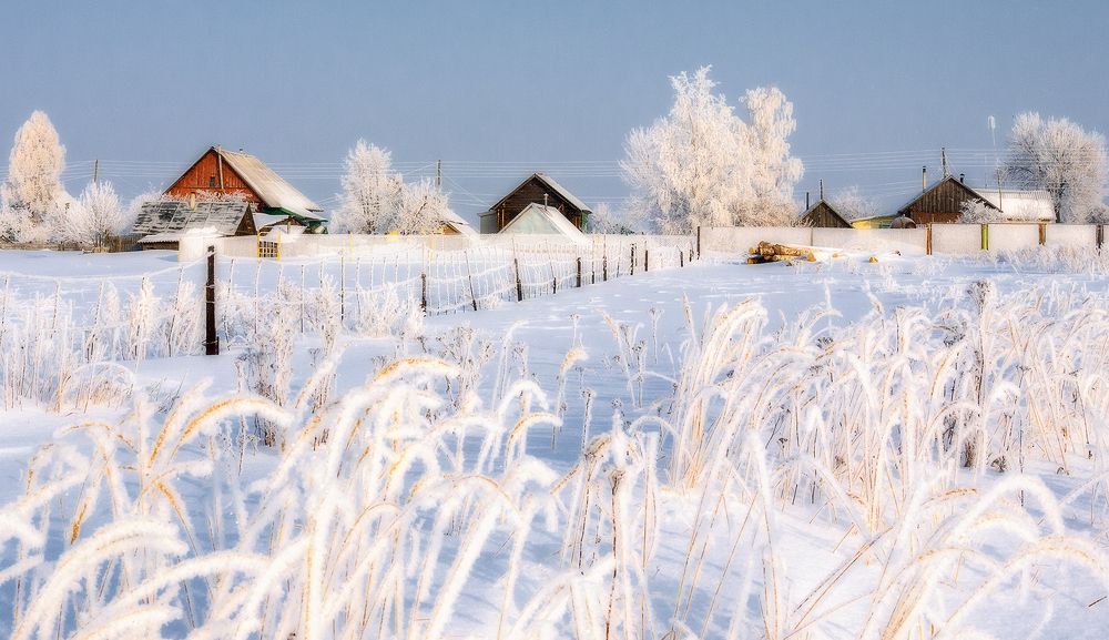 Photograph by Елена Потемина