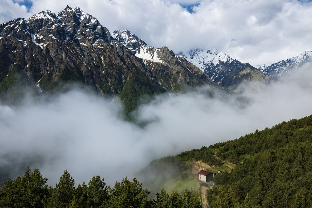 Photograph by Александр Кузнецов