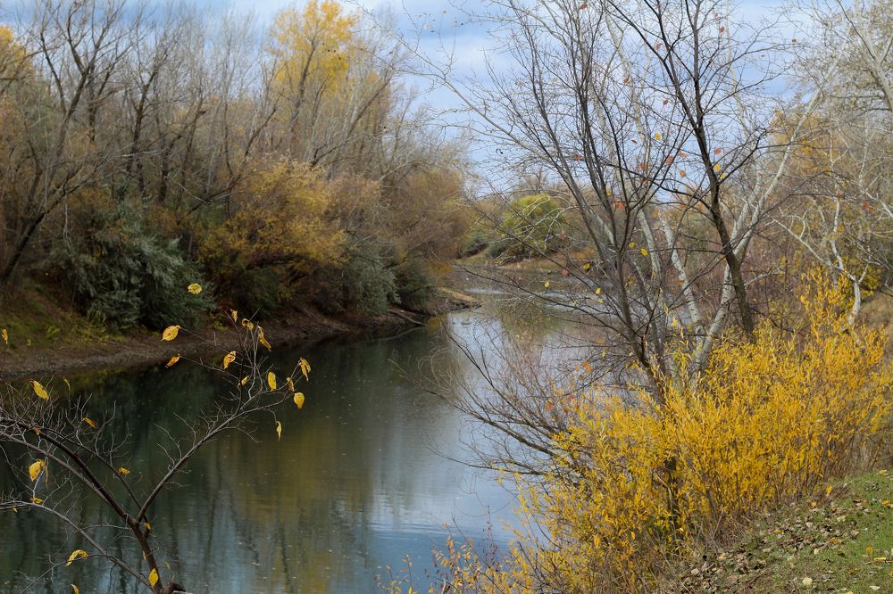 Photograph by Анна Зайченко