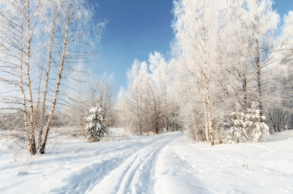 Photograph by Елена Потемина