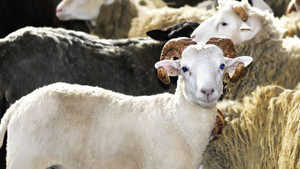 Photograph by Алексей Парамонов