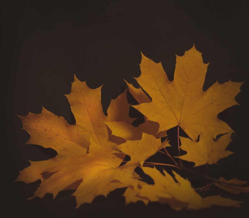 Photograph by Татьяна Гатиятуллина