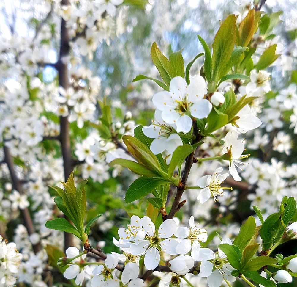 Photograph by Марина Козлова