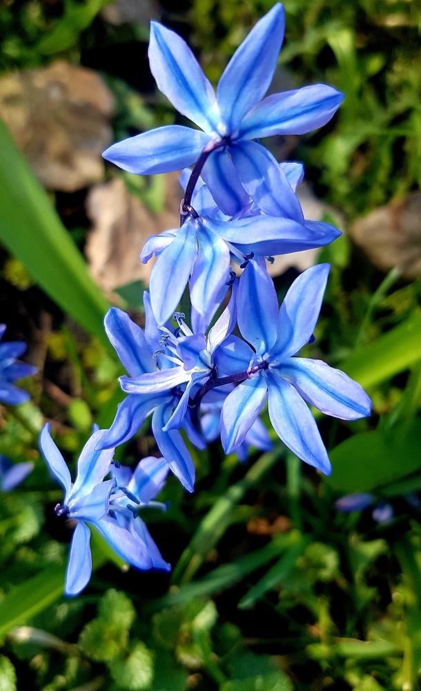 Photograph by Марина Козлова