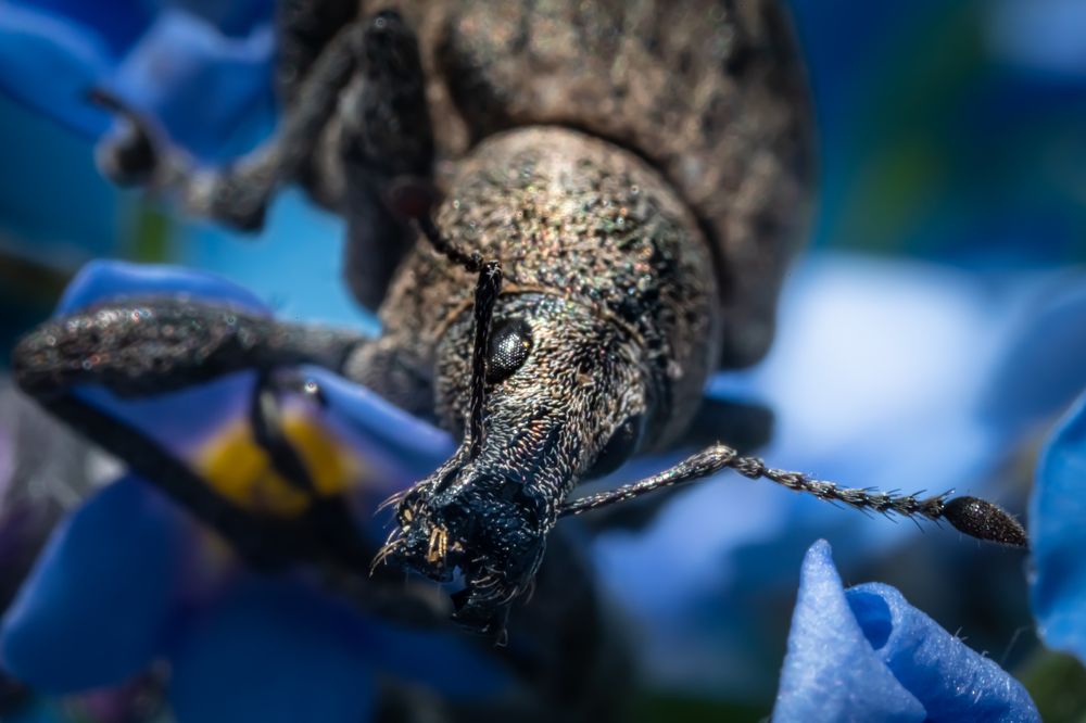 Photograph by Николай Фонарёв