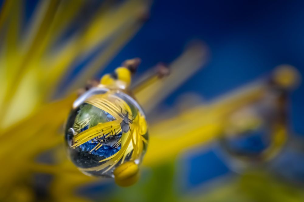 Photograph by Николай Фонарёв